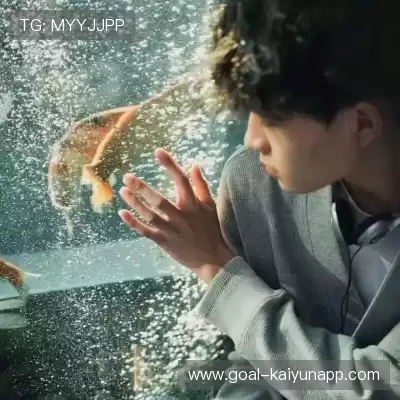 费艾贞